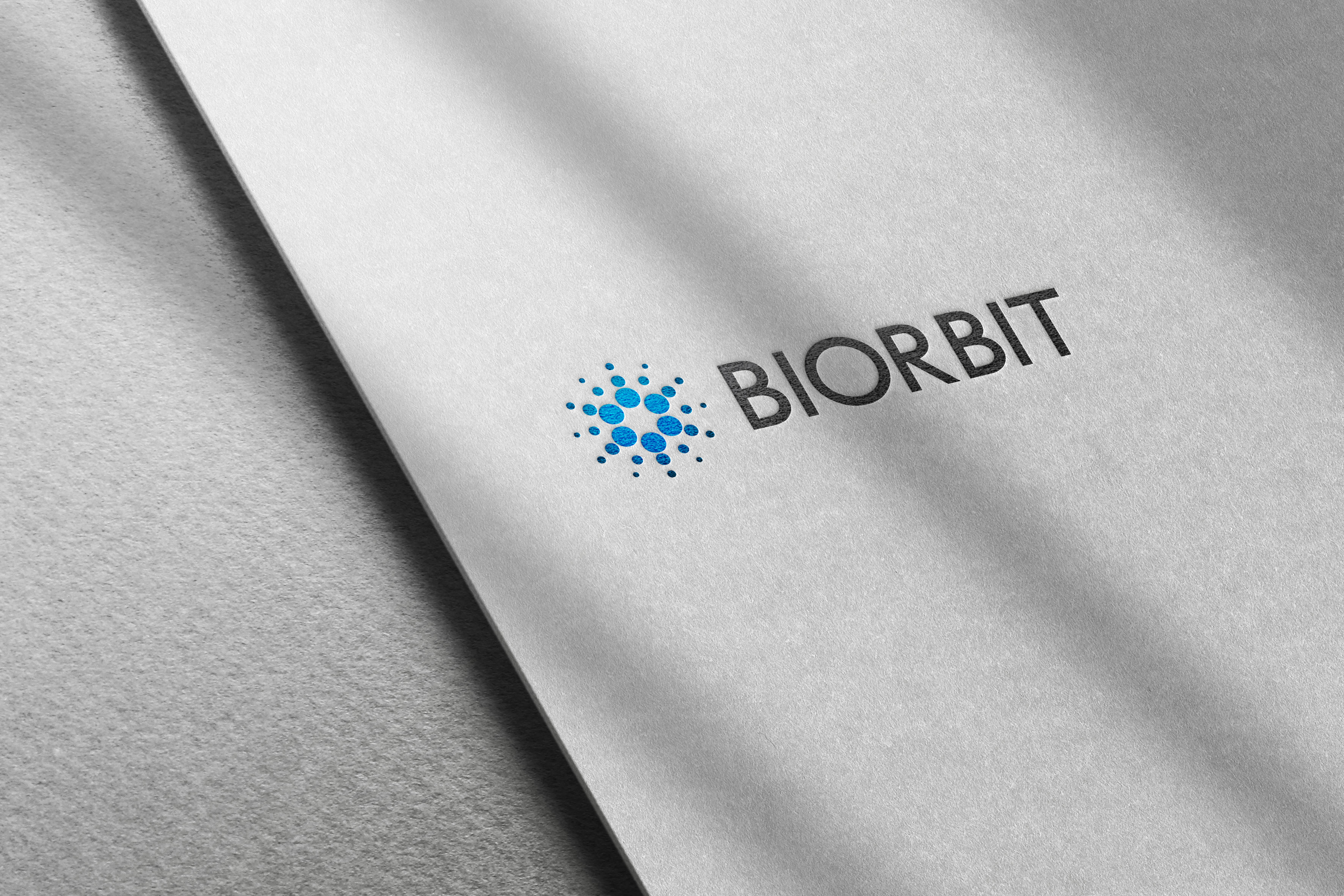 바이오비트 오피스 브랜딩 디테일 컷
